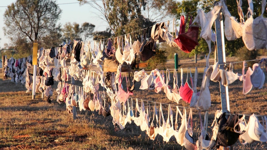 Bras hang from a fence in Wyandra as a way to raise funds and awareness for breast cancer.