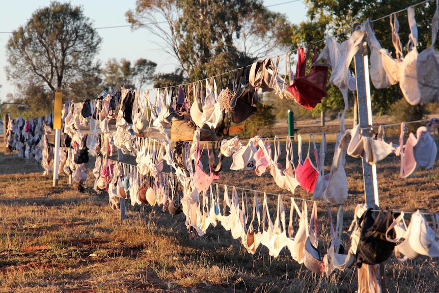 Bras hang from a fence in Wyandra as a way to raise funds and awareness for breast cancer.