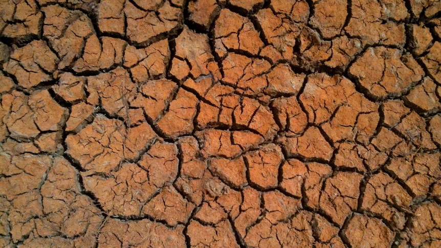 Close up of cracked earth 
