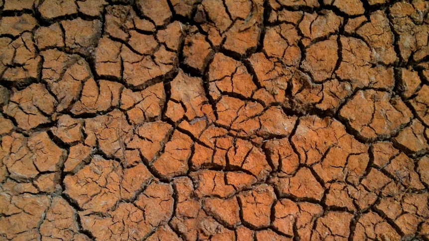 Dry, cracked earth in drought conditions.