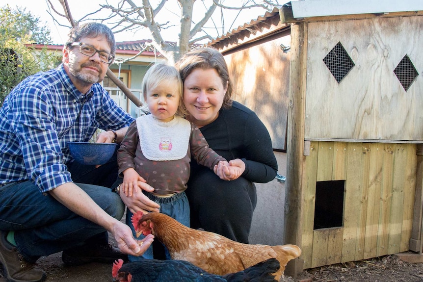 Canberra family feeding chickens