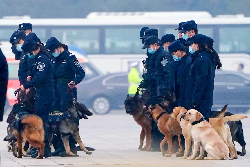 A group of Chinese police officers with dogs
