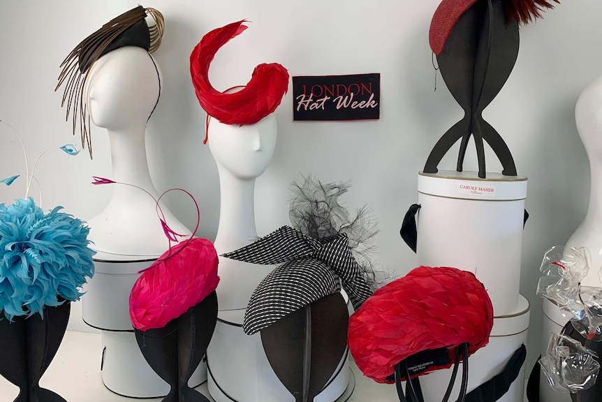 A range of Carole Maher's coloured and feathered hats sit on dummy heads.