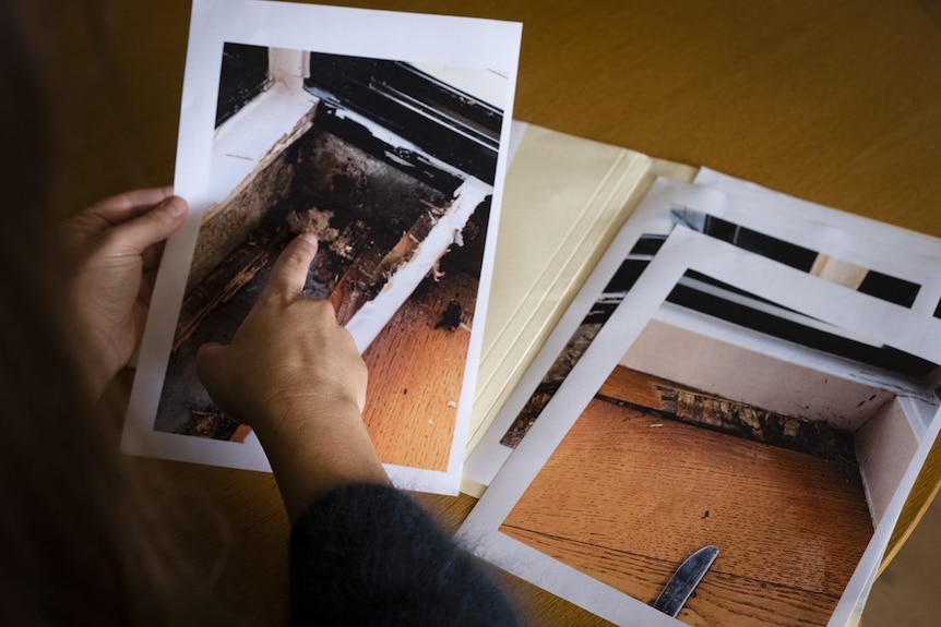 Jenna Alexander points to a photo of wood rot and mould