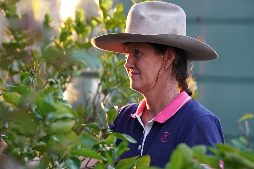 Tracy looks at the plants growing on her Bundaberg property.