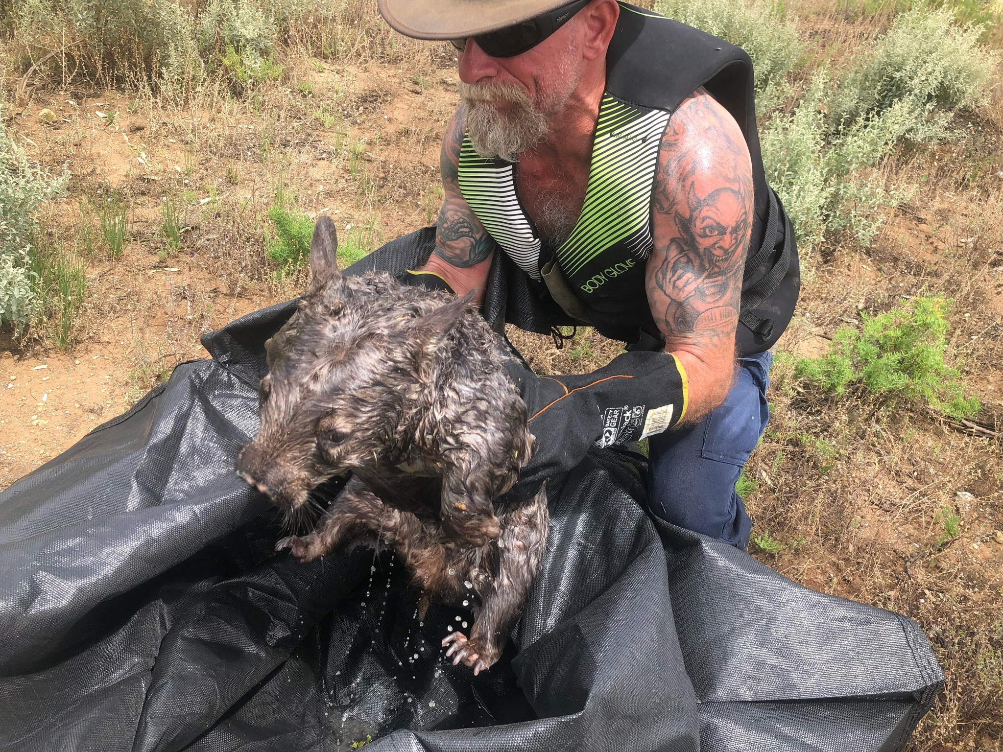 Wildlife rescue volunteers in boats saving animals stranded by rising