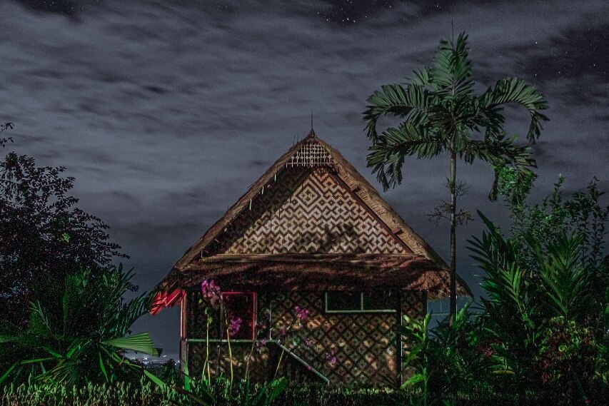 This stunning image captures the beautiful night sky and lush green bush surrounding a traditional hut.
