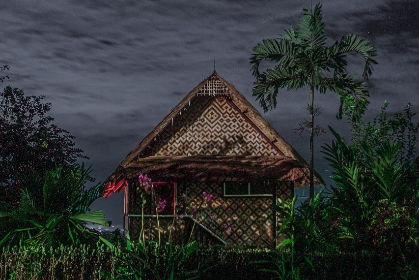 A traditional hut sits against dark green bushes and a black night sky with bright points of light and a low grey cloud.