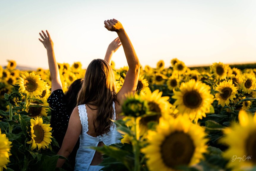 Two girls walking with their backs to the camera and arms up in sunflower crop