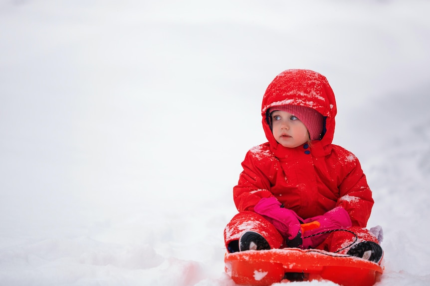 A young child on a red toboggan in the snow.