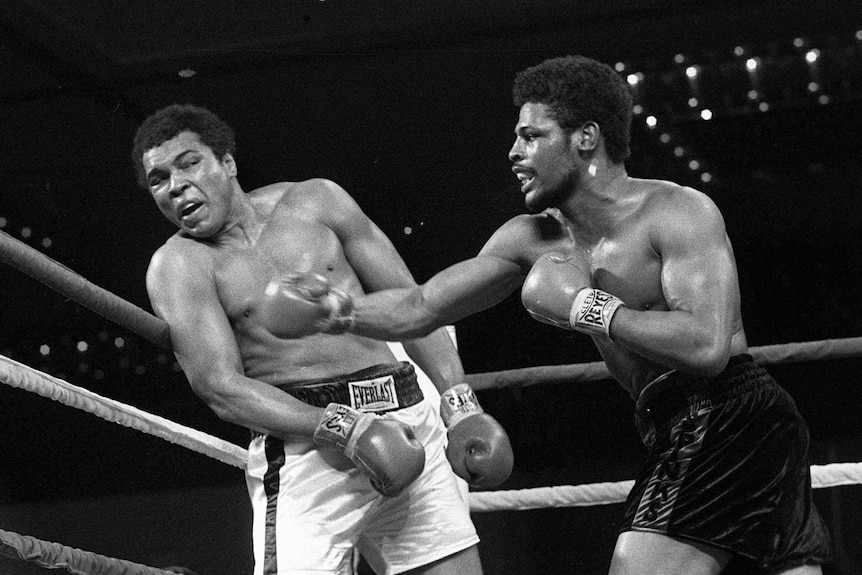 Leon Spinks, wearing black shorts, punches at Muhammed Ali, who is rocked back against the ropes wearing white trunks