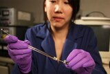 A scientist wearing gloves works in a lab.