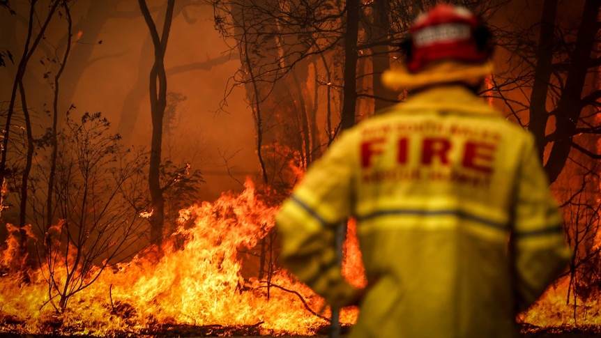 A Fire and Rescue personnel watches a bushfire as it burns