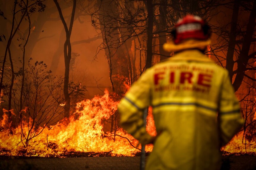 A Fire and Rescue personnel watches a bushfire as it burns