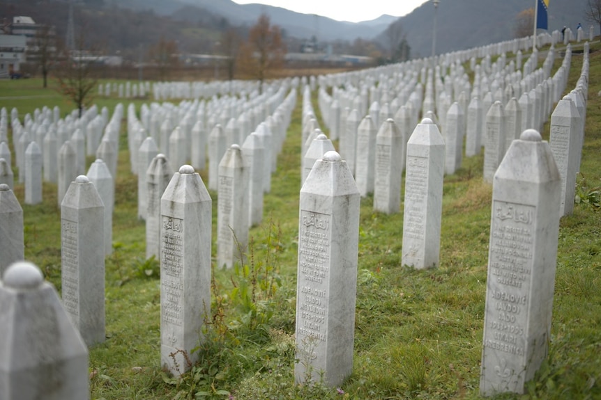 Some of the Srebrenica massacre memorial's 8,000 posts dedicated to each of the victims.
