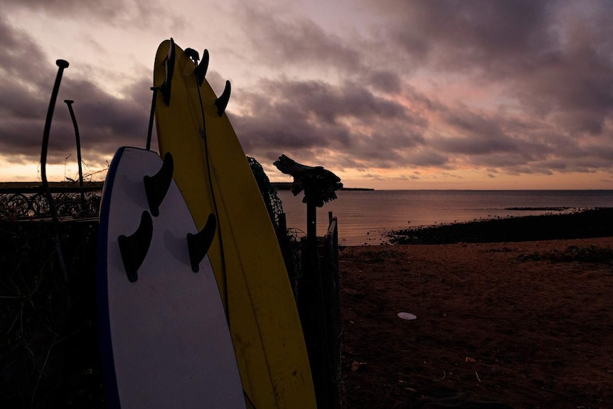 Surfboards stand next to the beach on the north-east Arnhem Land coastline, as the sun sets in the background.