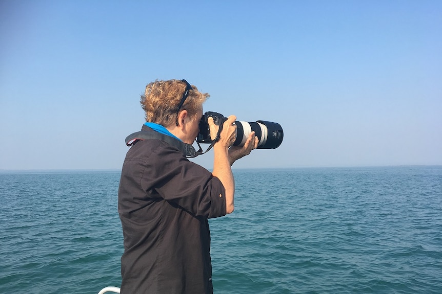 NT Government researcher Carol Palmer photographs dolphins off Darwin.