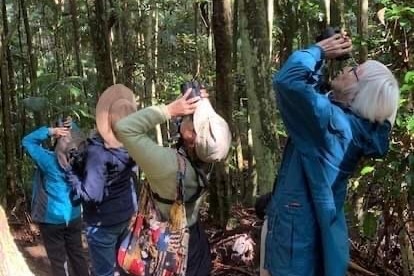 Four women stand in a rainforest area, all looking up through binoculars.