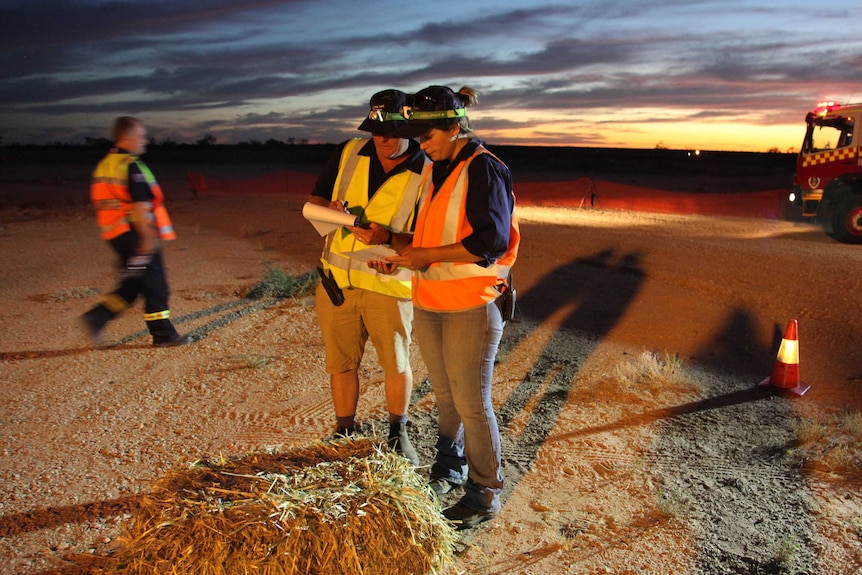 Assessing dead 'sheep' in mock disaster drill