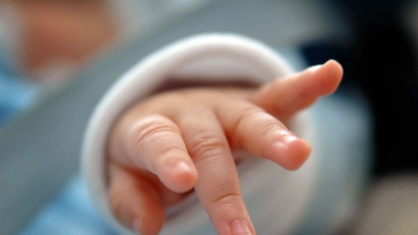 A baby's hand Feb 2007