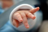 Record number of babies born