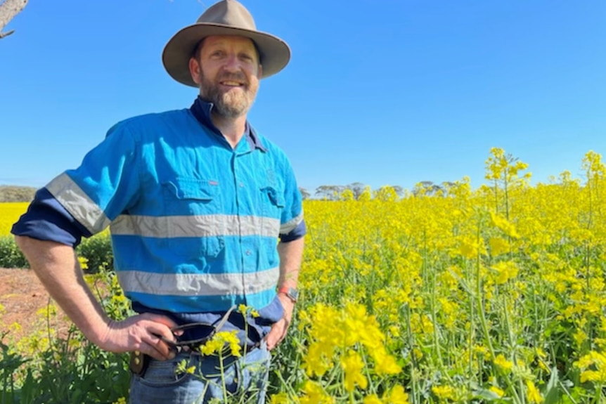 A middle-aged bearded man in a bright blue work shirt, beige hat and hands on hips stands in a field of canola