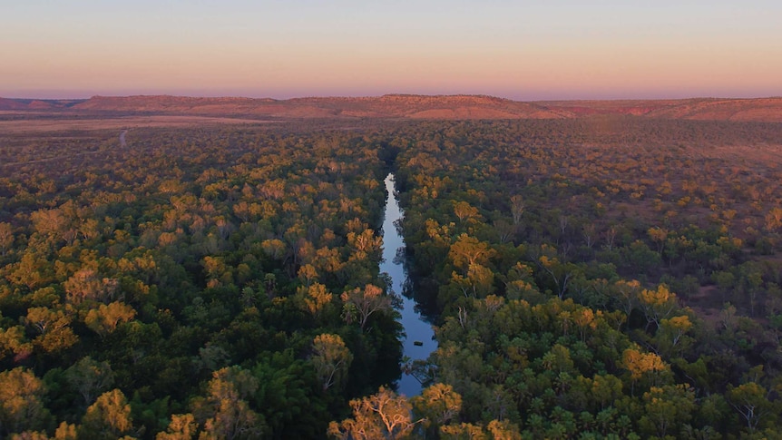 Sunrise aerial shot of Lawn Hill Gorge in Boodjamulla National Park. Lots of pinks and purples on the skyline.