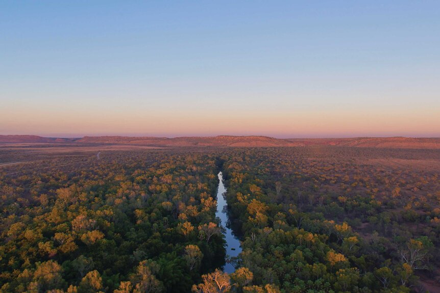 Sunrise aerial shot of Lawn Hill Gorge in Boodjamulla National Park. Lots of pinks and purples on the skyline.
