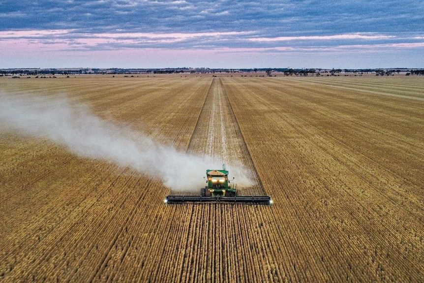 Drone shot of a combine harvester working in a field