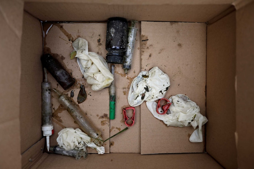 Medical waste collected from Cisadane river is seen inside a cardboard box