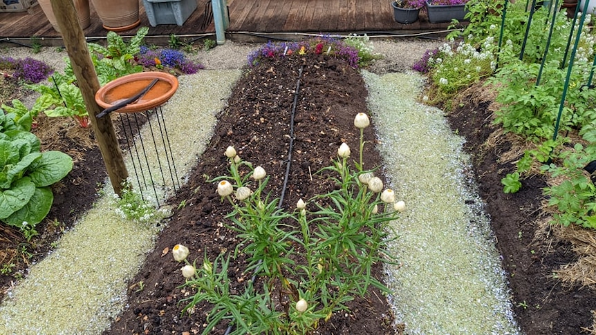 Two rows of opaque crushed glass form paths between garden beds.