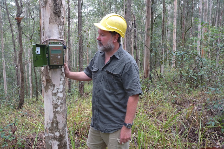 Brad Law in the forest with an acoustic sensor.