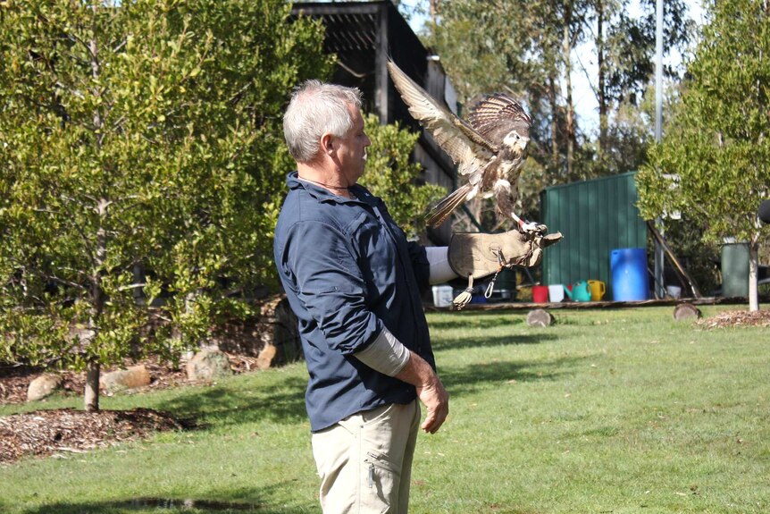 Craig Webb and a falcon in care at the raptor refuge.