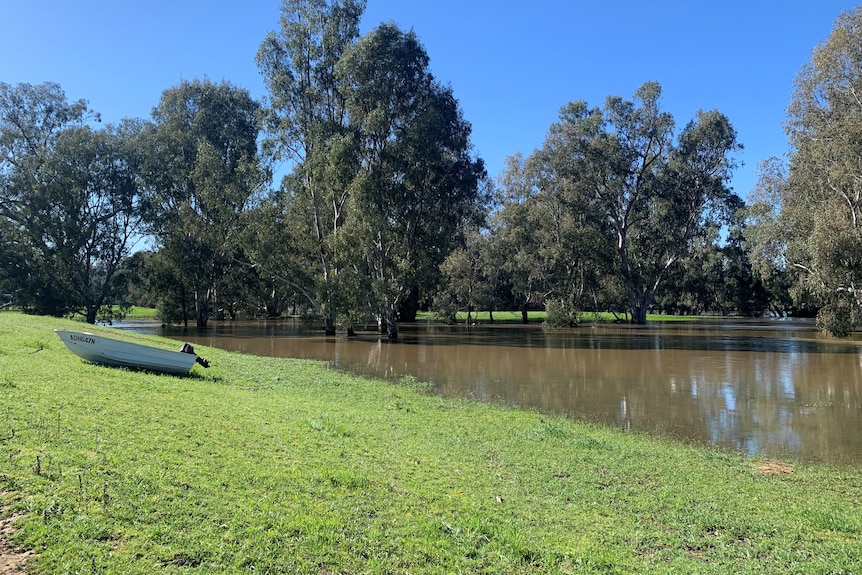 A boat rests on higher ground next to floodwaters. 