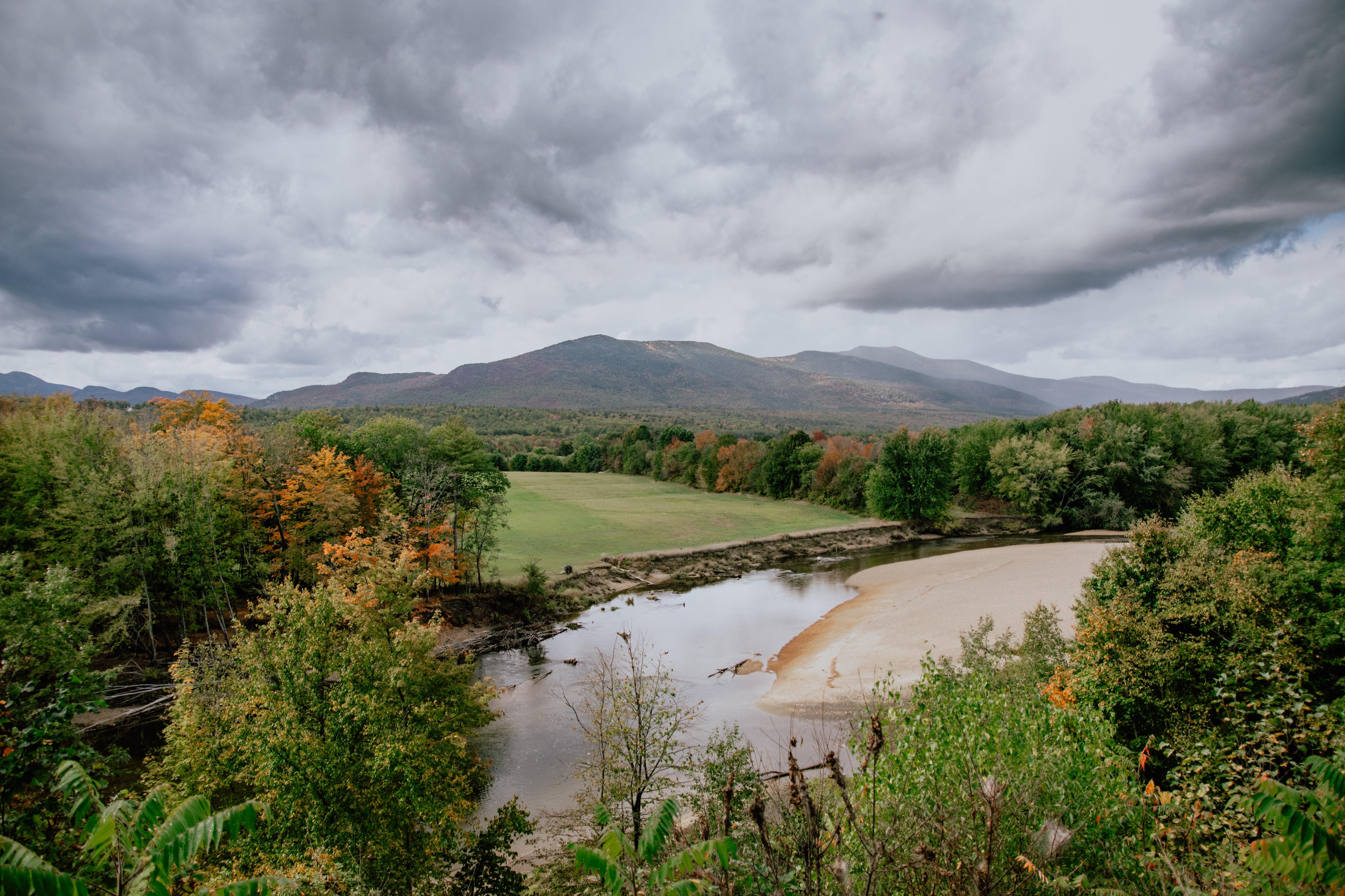 A view of mountains in the distance. In the foreground, an expanse of trees, mostly green but a few orange.