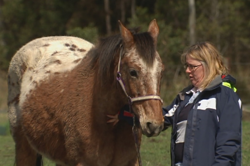 Yvonne Berry with horse