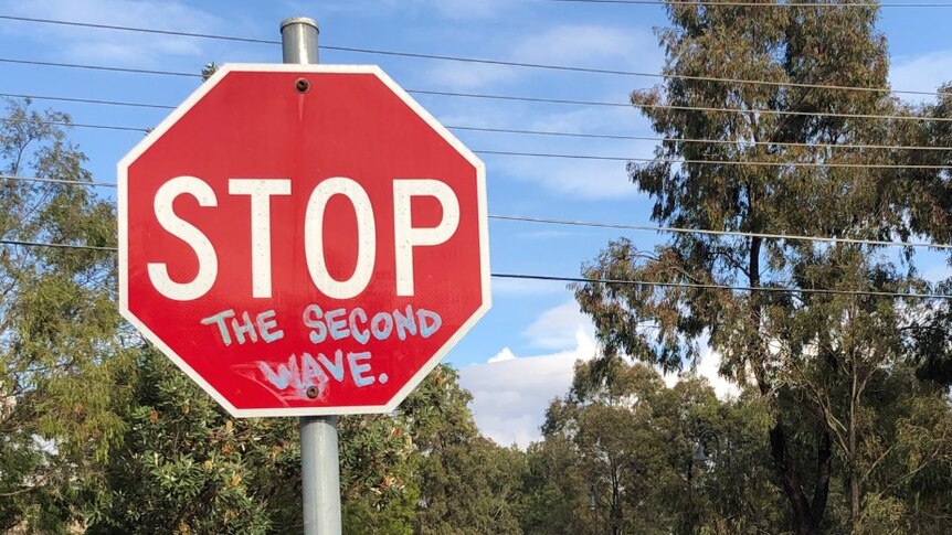 A red stop sign with "The Second Wave" written in blue graffiti writing in front of a park.