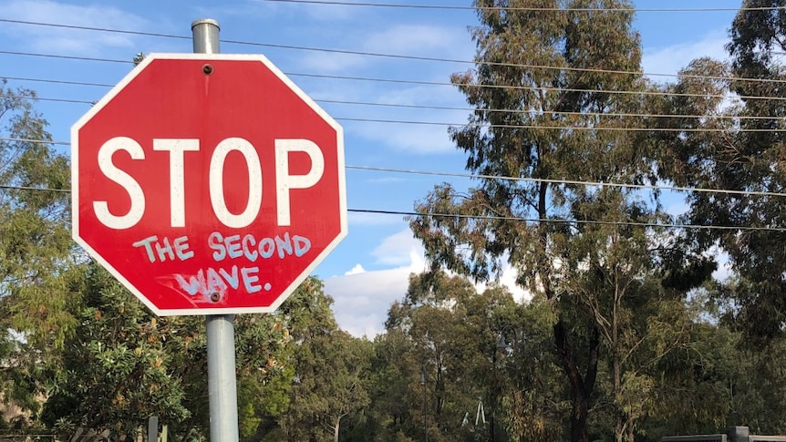 A red stop sign with "The Second Wave" written in blue graffiti writing in front of a park.