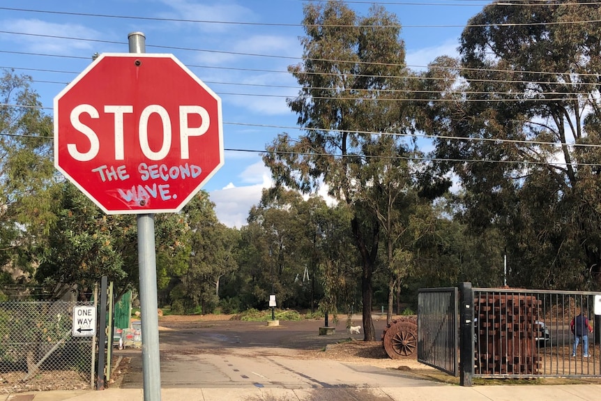 A red stop sign with "The Second Wave" written in blue graffiti writing in front of a park.