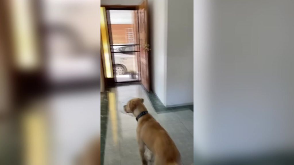 Play Video. Duration: 26 seconds