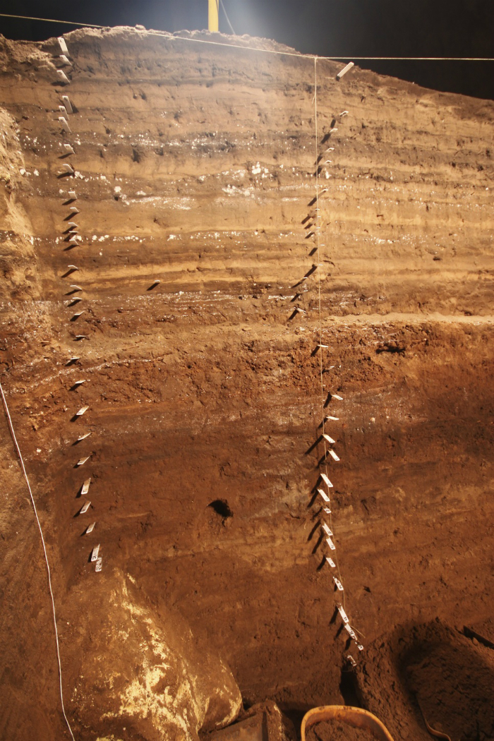 Fossils in Blanche Cave, Naracoorte.
