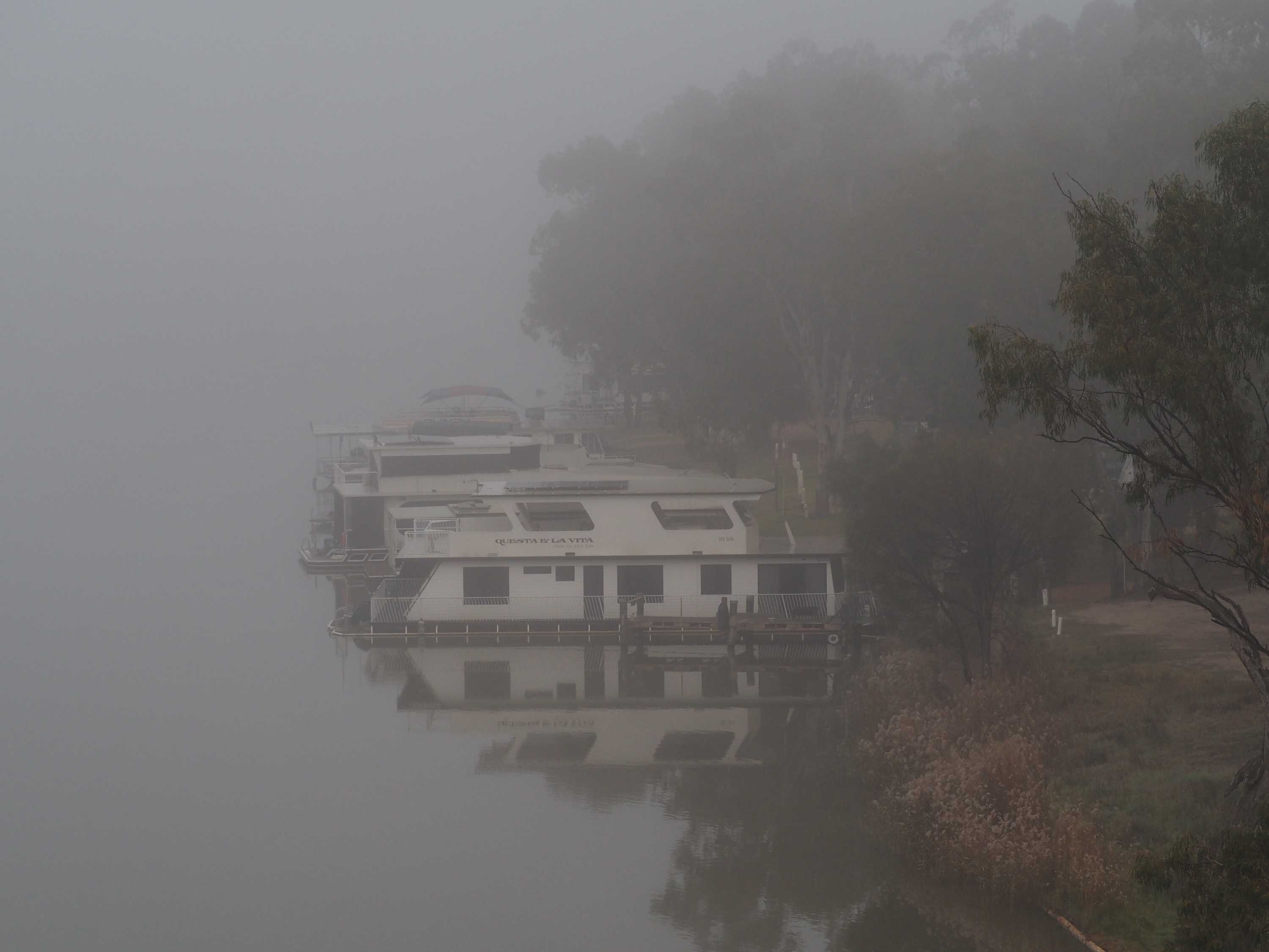 a tree and two houseboats on a river are visible in the foreground with the background shrouded in fog