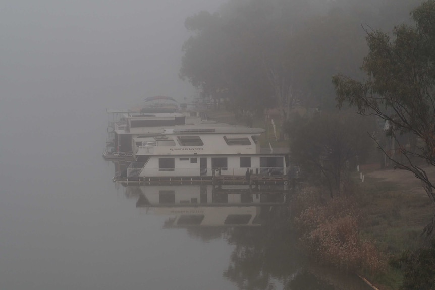a tree and two houseboats on a river are visible in the foreground with the background shrouded in fog