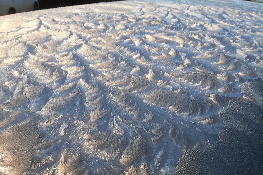 Frost patterns on windscreen of car.