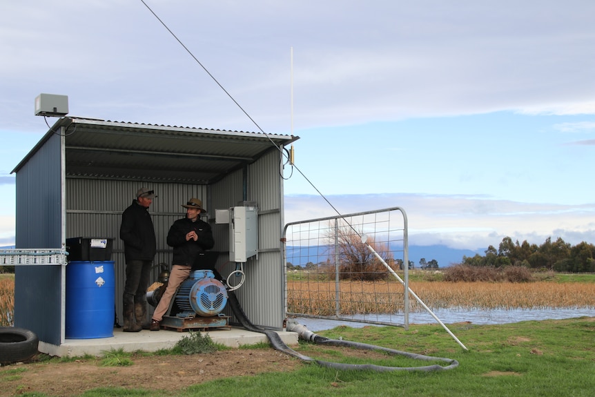 Two men chat in an old, tin pump shed in a sprawling family farm.