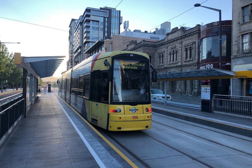 The first tram on North Terrace
