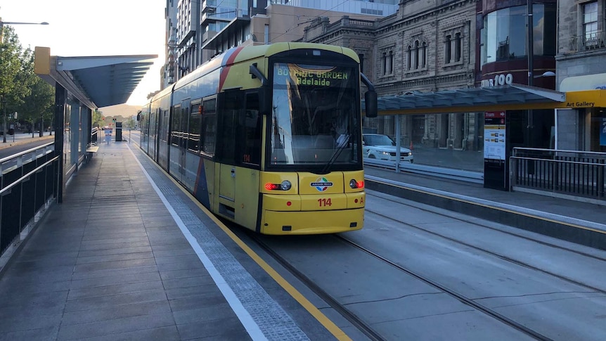 The first tram on North Terrace