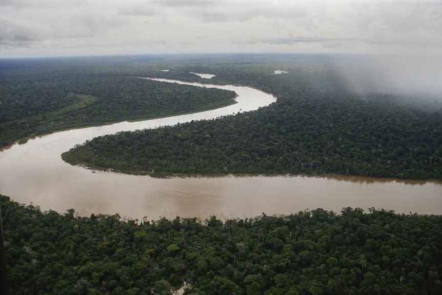 A photo of the Itaquai River snaking through the Javari Valley Indigenous territory in the Amazon. 