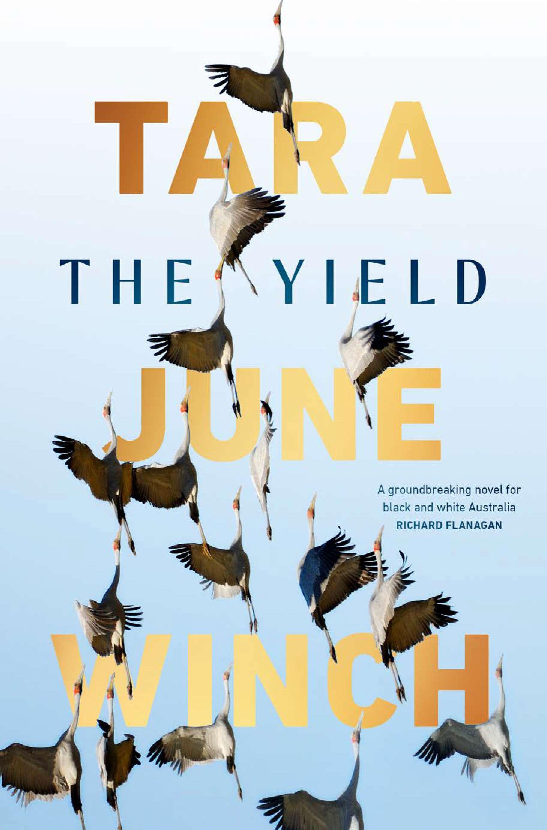 The Yield by Tara June Winch book cover featuring a flock of brolgas dancing in the sky