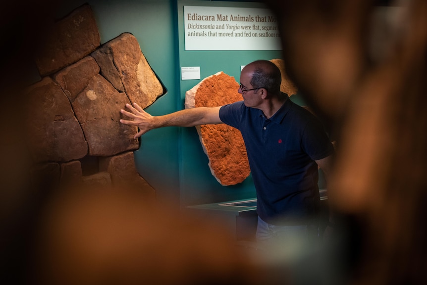 Fossil expert Diego Garcia-Bellido at the SA Museum.